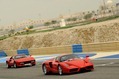 Ferrari-Enzo-&-288-GTO