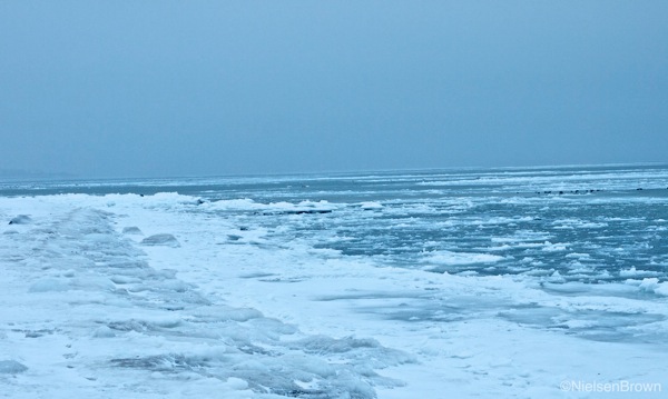 P2121622.jpg P2121622