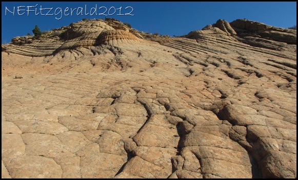 IMG_0711Bedding LayersInNavajo Sandstone