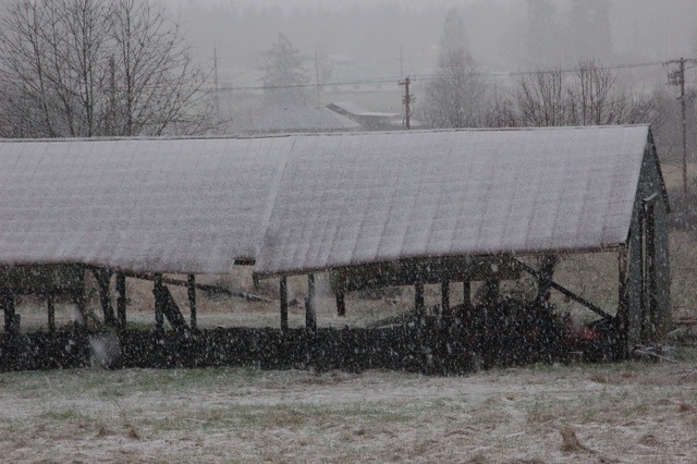 [DSC_5508%255B4%255D.jpg]