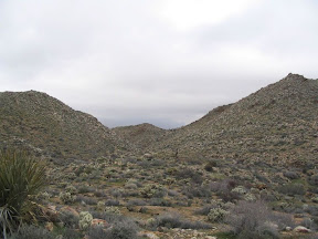 The beginning of Goat Canyon is pretty evident.