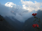 View from the trail- Day 5