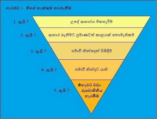 හේතු ත්‍රිකෝණය