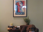 As you can see, they are huge adoption advocates and have a wonderful family of critters as a result!