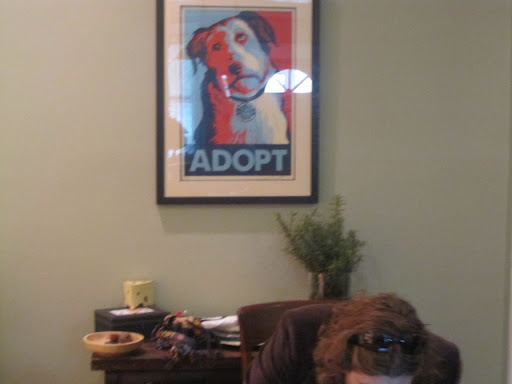 As you can see, they are huge adoption advocates and have a wonderful family of critters as a result!