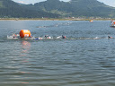 IMG_1431.jpg