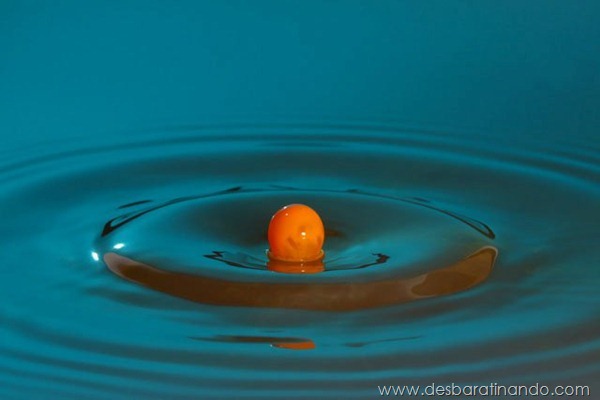liquid-drop-art-gotas-caindo-foto-velocidade-hora-certa-desbaratinando (138) liquid-drop-art-gotas-caindo-foto-velocidade-hora-certa-desbaratinando (138)