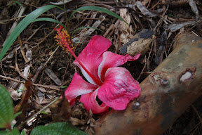 DSC_0682.JPG