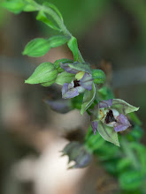P8207558