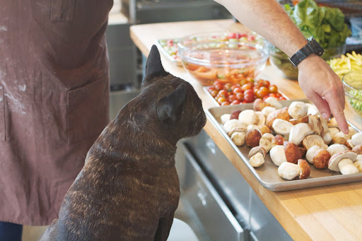 Oh, I see. You're going to make a creamy mushroom sauce for the fettucini, which you'll be mixing up next. Oh, I see. You're going to make a creamy mushroom sauce for the fettucini, which you'll be mixing up next.