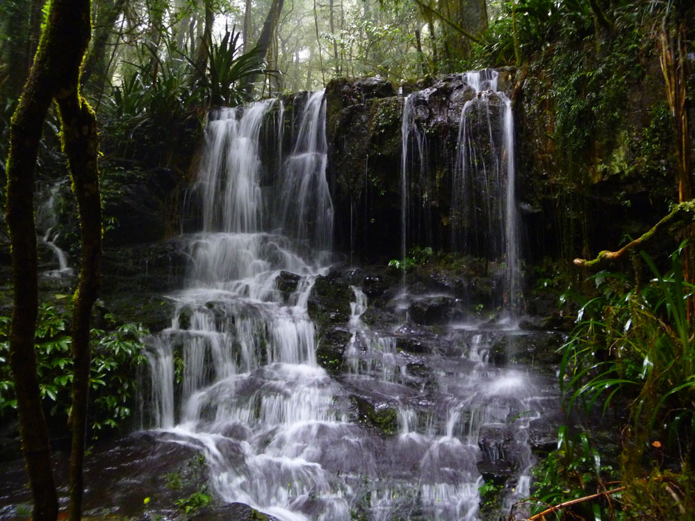 Toolona Creek and Mount Wanungra, O’Reilly’s