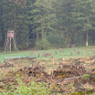 CIMG0867.JPG