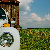 "Classic Beauty 2" - copyright Trasi Kromer