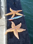 Image13.jpg