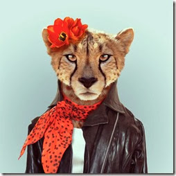 guepard guepard