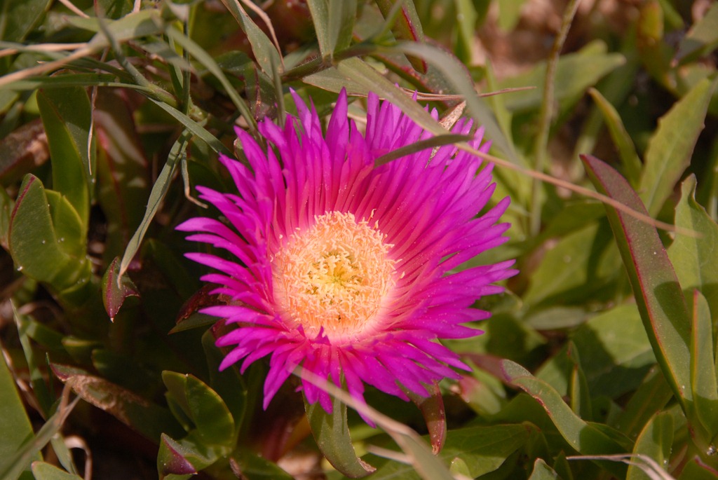 [DSC_0229%255B6%255D.jpg]