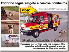 caozinho_viatura_bombeiros_thumb[1][3]