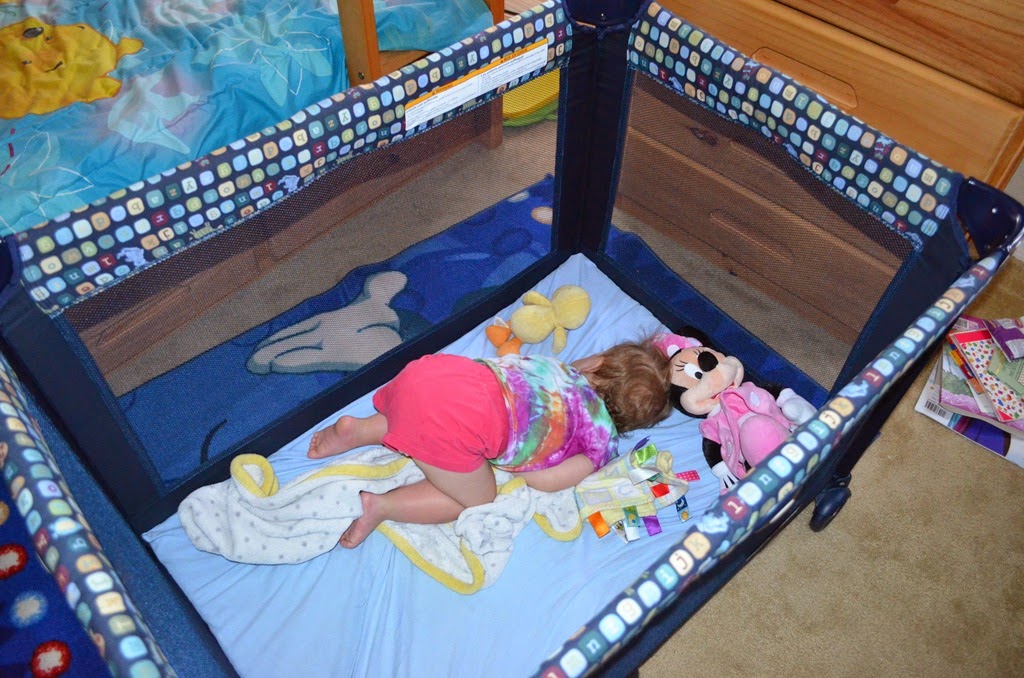 [DSC_8733%255B3%255D.jpg]