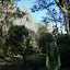 Limestone outcrop at the start of the trail up Gunung Mutis