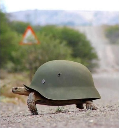 turtulsoldier