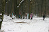  Winterhike: Fotos & Videos