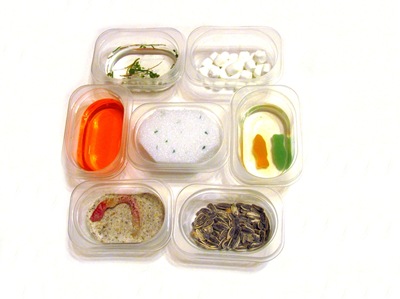 Montessori Tidbits:  Types of bird beaks experiment