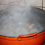 IMG_4987.JPG