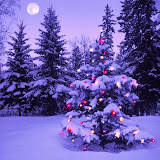 Navidad%2520Fondos%2520Wallpaper%2520%2520479.jpg