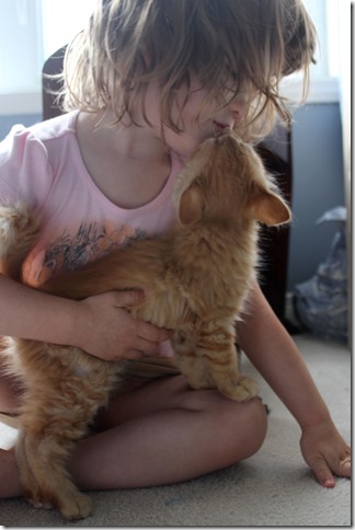 rufus kisses rufus kisses