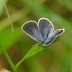 P1110767