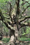 DSC_0002.JPG