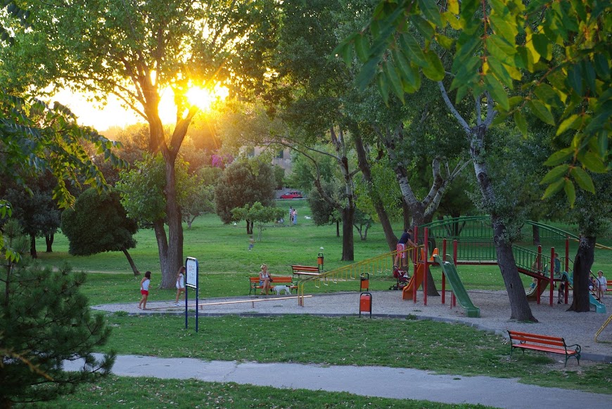 IMGP7800.JPG
