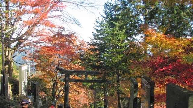 [IMG_4066%255B3%255D.jpg]