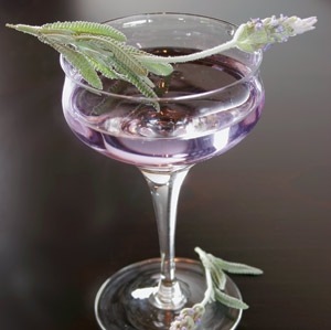 [lavendarmartini%255B8%255D.jpg]