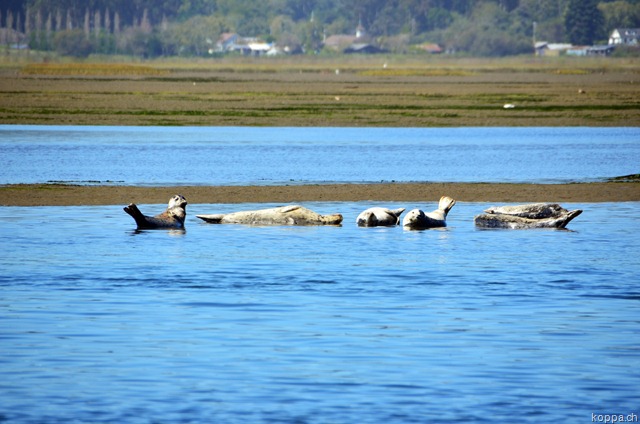 [110918BodegaBay22.jpg]