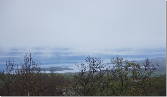 DSC00955 DSC00955