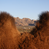 I already did the sunset between the camel humps picture so how about a ger camp.