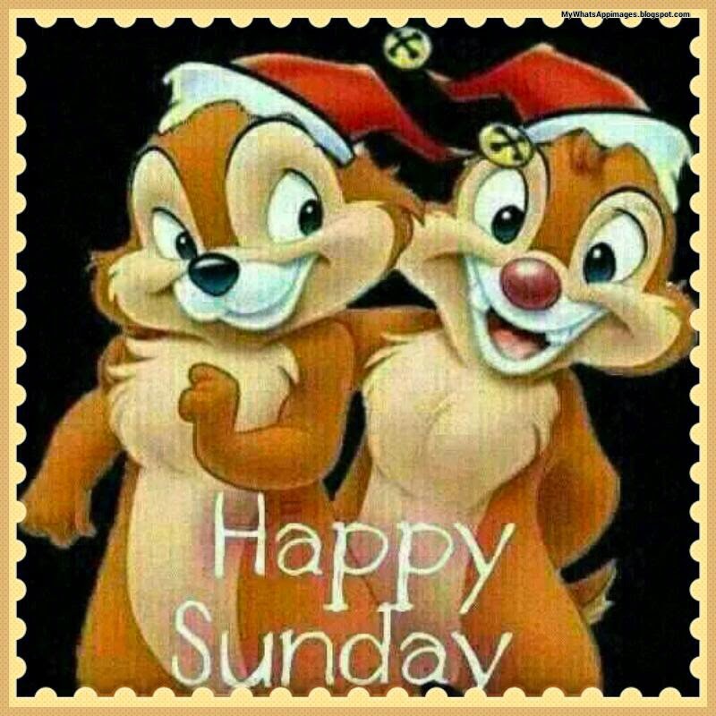 Cartoon Images jokes On Whatsapp Whatsapp Images