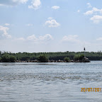 IMG_4271.JPG