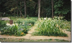 raised beds 2a