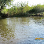 IMG_6251.JPG