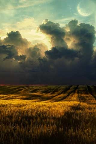 50 Wallpapers de naturaleza para iPhone 4s 50 Wallpapers de naturaleza para iPhone 4s