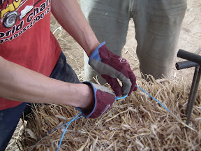 DSCF1813.JPG