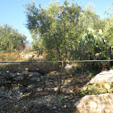 IMG_0631.JPG