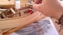 mayflower_027.jpg