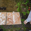 DSC02110.JPG