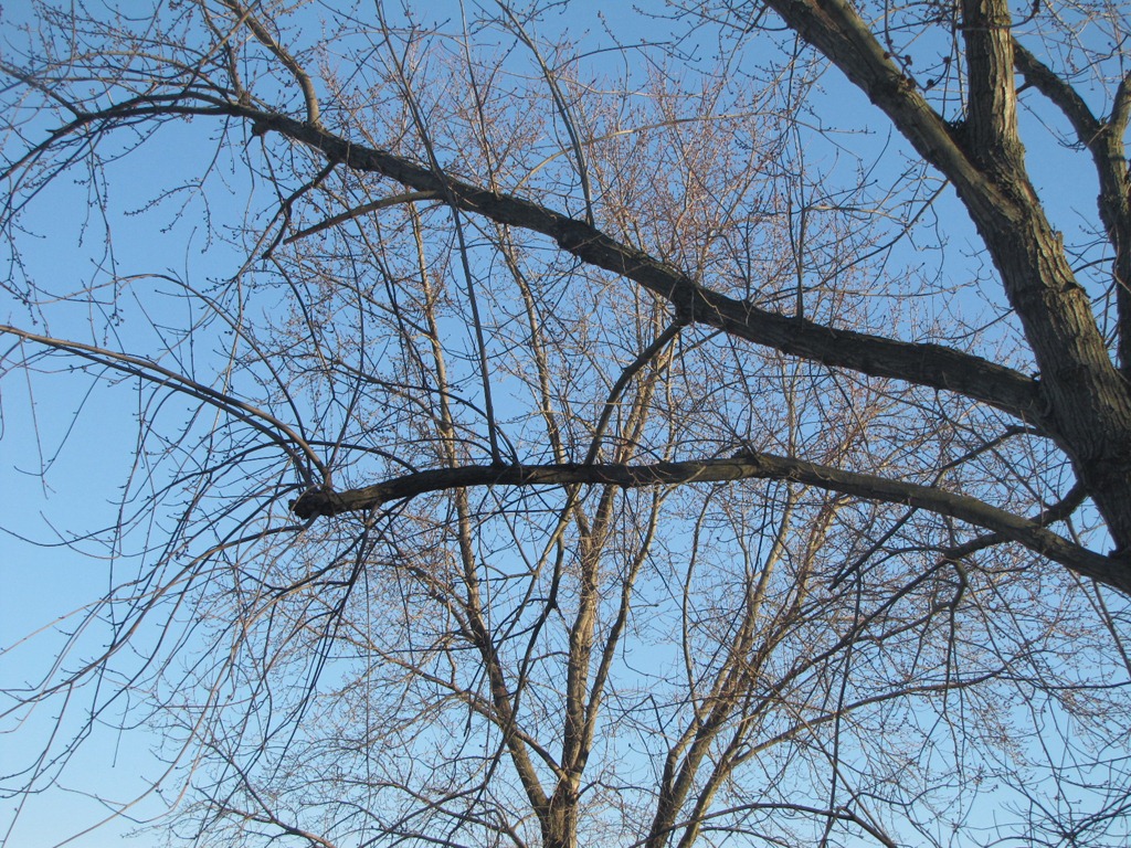 [IMG_19333.jpg]