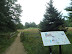 On the Hemlock Path, scouting butterflies