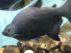 IMG_20111214_095635.jpg