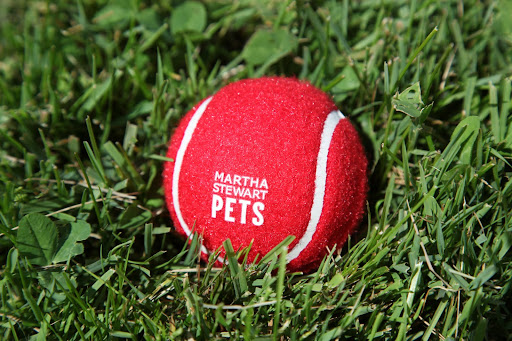 These balls are so nice and fuzzy.  Uncle Carlos!  Please come and play!